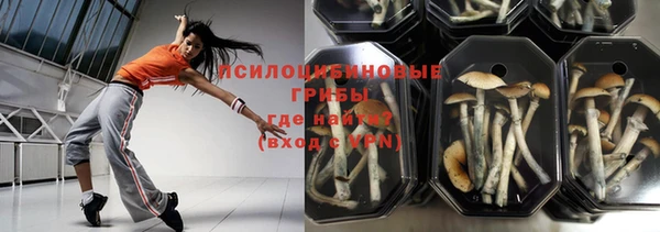 мет Богданович