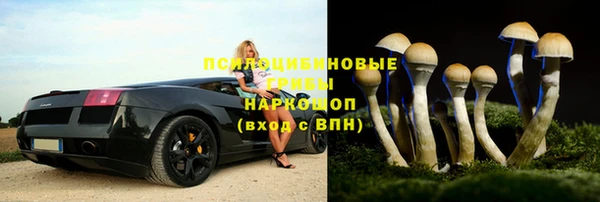 дмт Богородицк