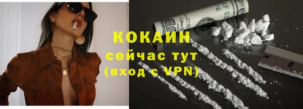 дмт Богородицк
