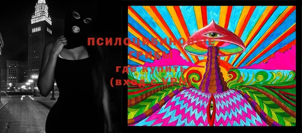 дмт Богородицк