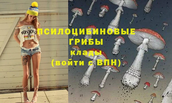 мет Богданович