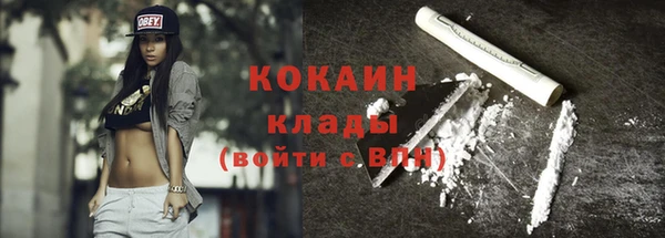 дмт Богородицк